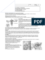 Biología-Guía-1-Reproducción-Ciencias-Naturales 7to