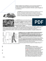 Macromoléculas