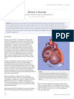 Ebstein's Anomaly