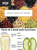 Select Quality Seeds