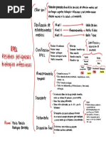 Rpbi Cuadro Sinóptico