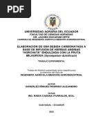 2023-Inter-Elaboración de Una Bebida Carbonatada A Base de Infusión de Hierbas Andinas Horchata Endulzada Con La Fruta Milagrosa