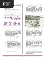 Odontopediatria 1 - 6º Semestre - 1 Unidade - Aula 2 - Odontogênese (PARTE 1)