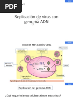 Clase 2 Adn