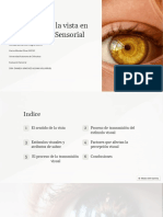 El Sentido de La Vista en Evaluacion Sensorial