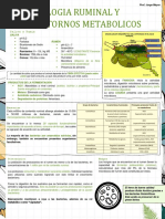 Fisiología Ruminal