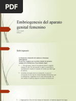 3 Embriología Del Aparato Genital Femenino