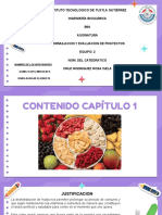 Formulacion y Evaluacion de Proyectos