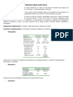 Inflamación Aguda: Urolito Vesical