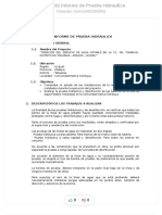 Informe de Prueba Hidraulica Compress