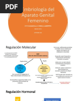 Embriología Del Aparato Genital Femenino