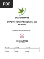 Report On Hydraulic Simulation-Capacity Determination-Agra CGD-R0