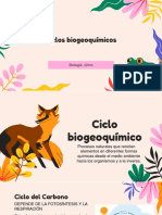 Ciclos Biogeoquímicos