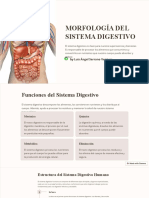 Morfologia Del Sistema Digestivo