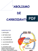 Aula II Metabolismo Carboidratos