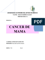 Cancer de Mama