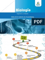 21 Ciclos de La Materia en El Ecosistema