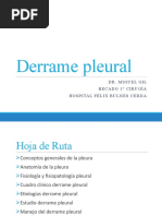 Seminario Derrame Pleural