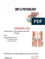 Inguinal Hernia Ana Phy