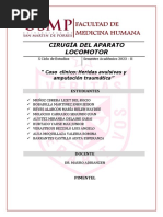 Informe S2 - Complicaciones de Las Fracturas