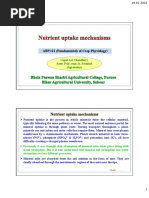 Nutrient Uptake Mechanism.