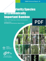 2022 Global Priority Species of Economically Importance Bamboo