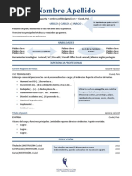 Modelo CV Ats Americano