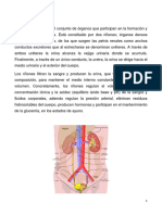 Clase 16 de Junio Santojanni