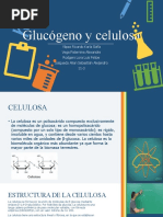 Glucógeno y Celulosa 11 3 AVP KYR SSA LRL