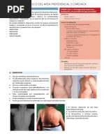 1.3 Examen Fisico Ii Cardiaco