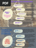 Tribunales Con Jurisdiccion Internacional