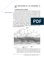 Adaptaciones A La Variación Del Ambiente