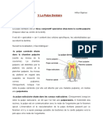 UE14 - Pulpe Et Dentine-2