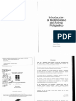 Metabolismo Del Animal Poligástrico