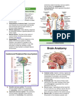 Neurological Assessment