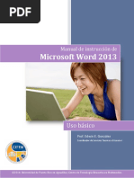 Manual de Word