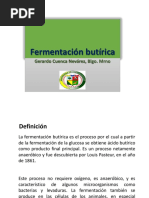 Fermentación Butírica