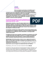 2 Informacion Del Documento Resumida