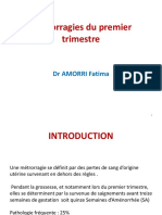 Métrorragies Du Premier Trimestre