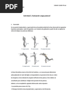 Evaluacion Carga Postural