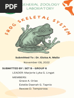 Frog Skeletal System - Set B Group 6