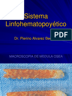 PATOLOGIA-Clase N°9-I-Patologia de Los Organos Hematopoyeticos