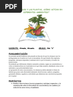 PDF Documento