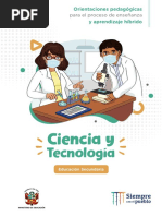 Orientaciones Enseñanza Ciencia Tecnologia