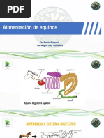 Alimentación de Equinos PDF REV - 221118 - 072219