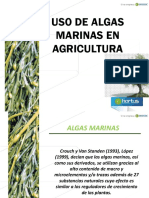 Algas Marinas Hortus