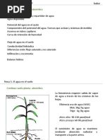 Tema 5