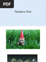 Narrative Text