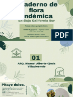 Cuaderno de Flora