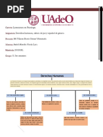 Mapa Conceptual Derechos Humanos